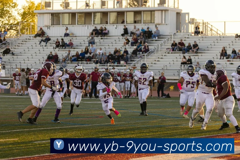 九游娱乐APP 封面图